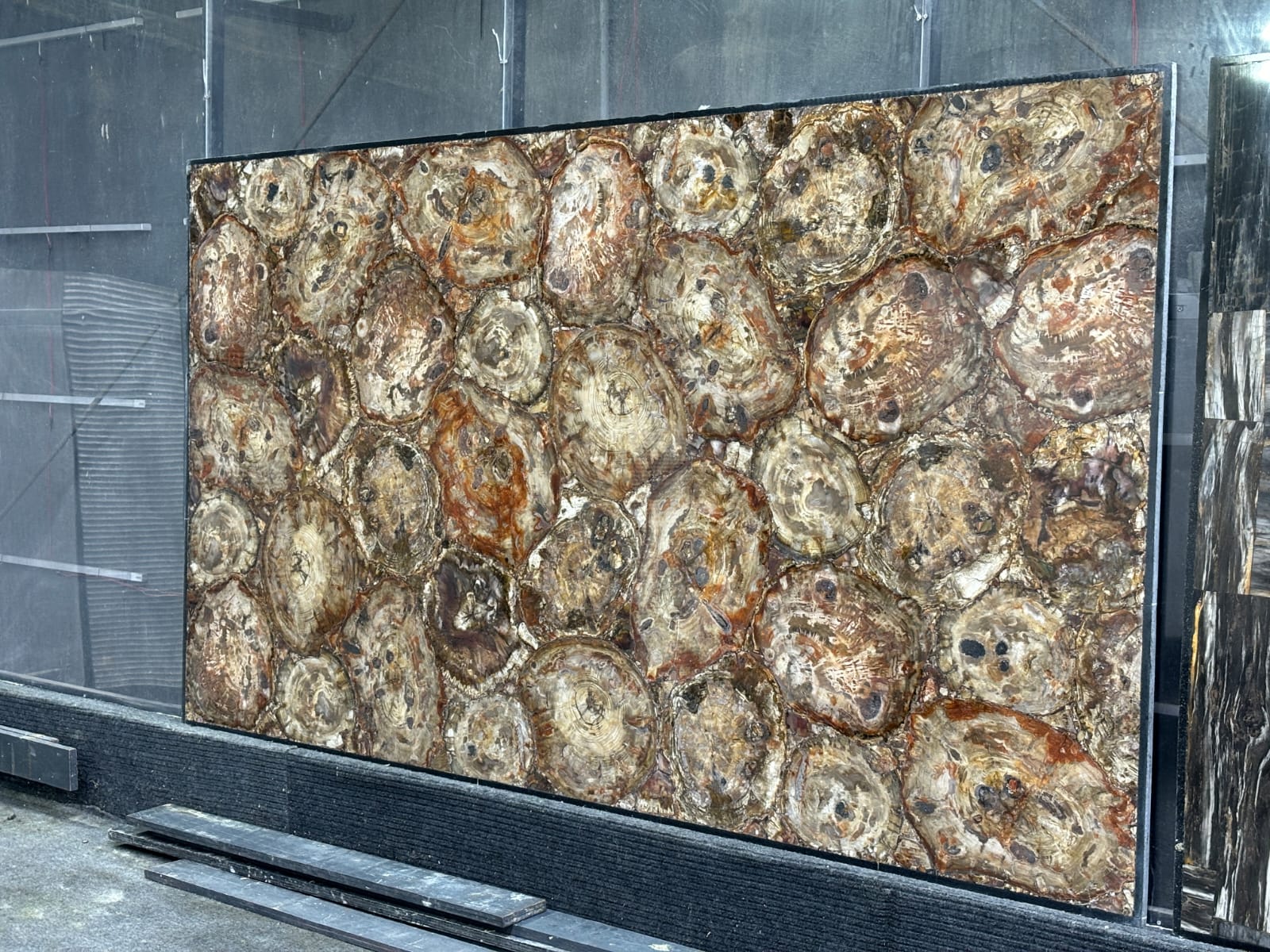 WhatsApp Image 2025-11-14 at 12.08.46 PM