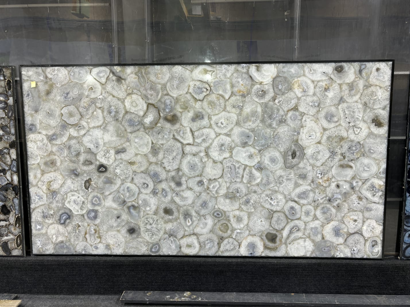 WhatsApp Image 2025-11-14 at 12.08.57 PM (1)